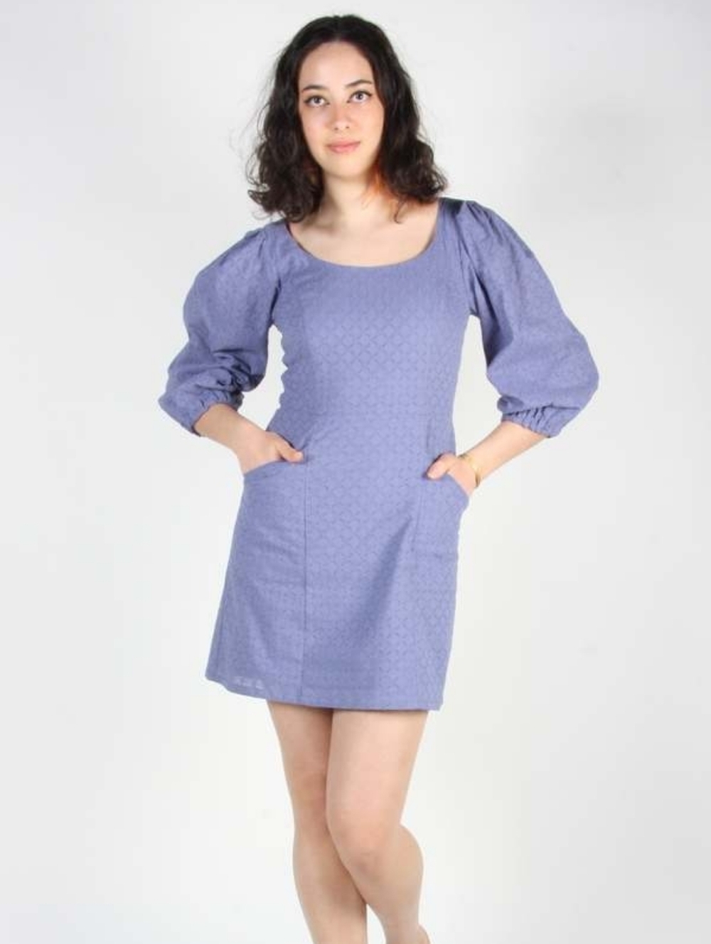 Birds Of North America Hummingbird Dress Periwinkle